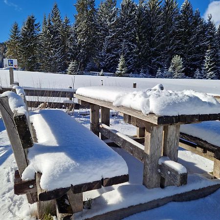 Wohlfuehl-Appartement Bergsee Family - Am Wildsee - Sup Und Schlitten For Free Seefeld no Tirol Exterior foto