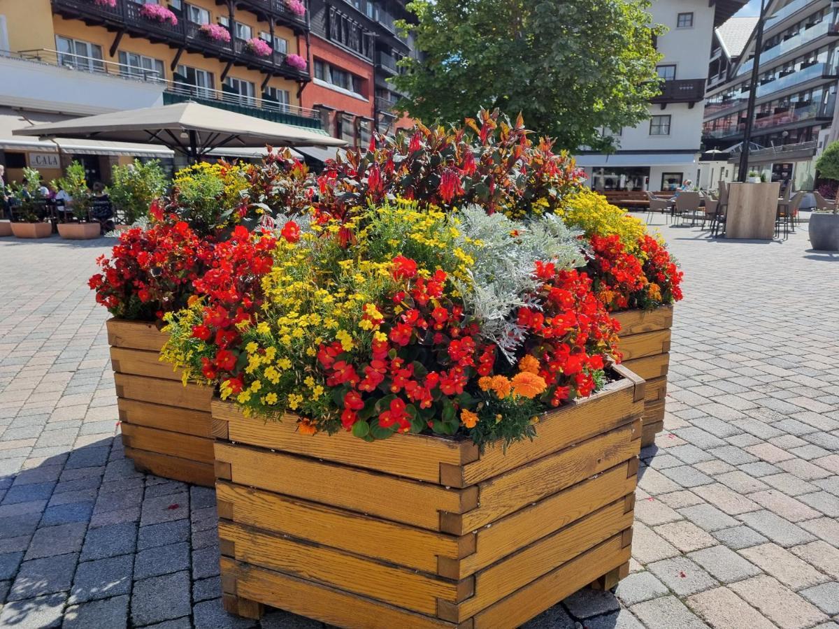 Wohlfuehl-Appartement Bergsee Family - Am Wildsee - Sup Und Schlitten For Free Seefeld no Tirol Exterior foto