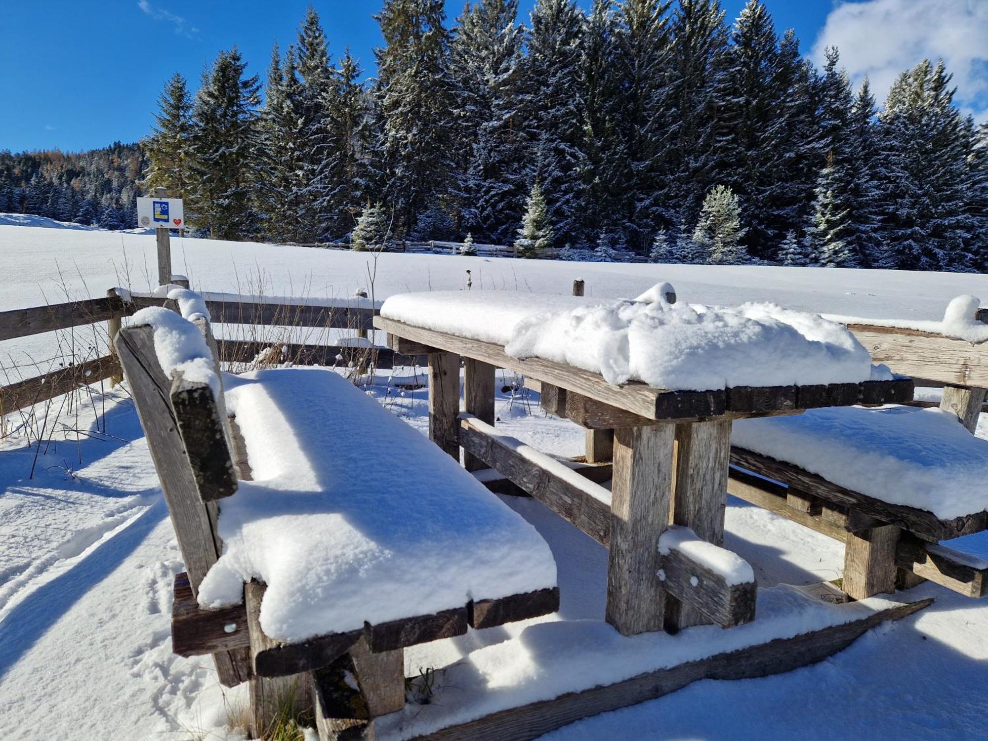 Wohlfuehl-Appartement Bergsee Family - Am Wildsee - Sup Und Schlitten For Free Seefeld no Tirol Exterior foto