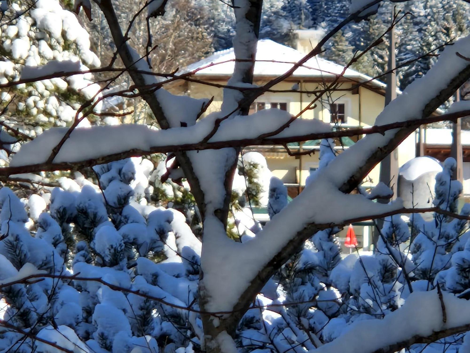 Wohlfuehl-Appartement Bergsee Family - Am Wildsee - Sup Und Schlitten For Free Seefeld no Tirol Exterior foto